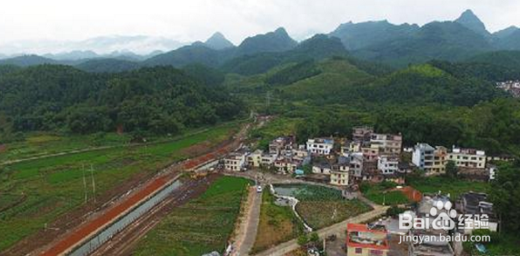 如何打造美丽乡村