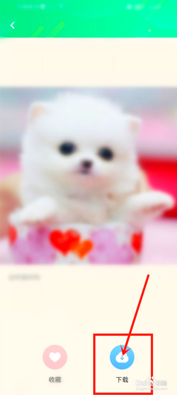 哈屏壁纸怎么下载头像图片