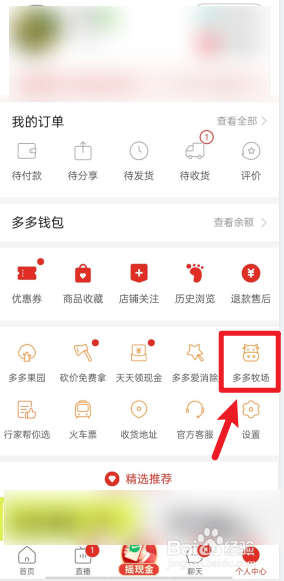 如何查看多多牧场的动态？