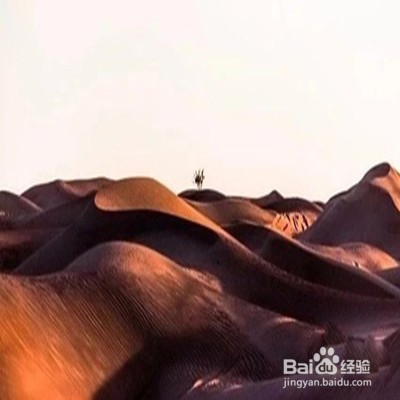 如何学会理财？