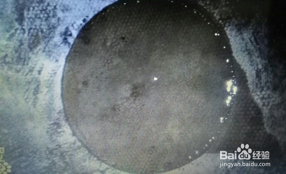 家常美味油泼面