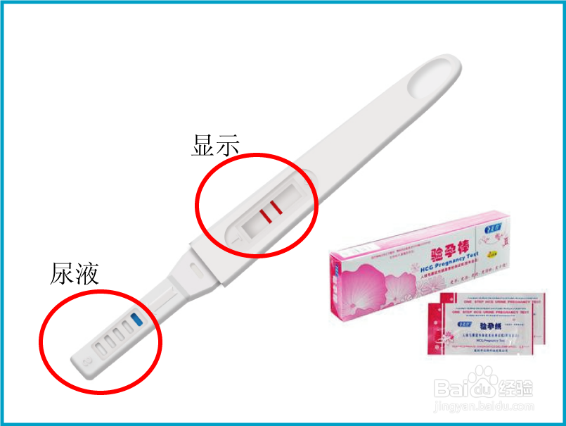 验孕棒怎么用图解-百度经验