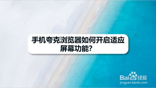 手机夸克浏览器如何开启适应屏幕功能