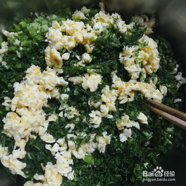 新手适合做的荞麦面粉茴香馅饺子
