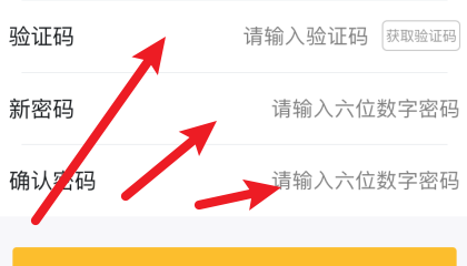 蝴蝶猫怎么设置支付密码