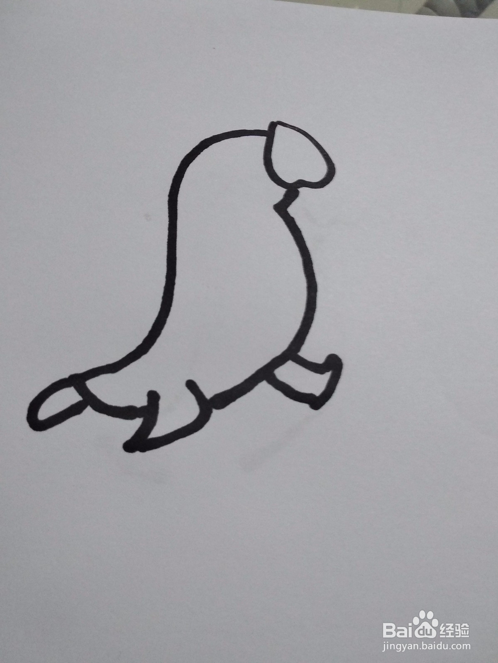 憨态可掬小海狮简笔画