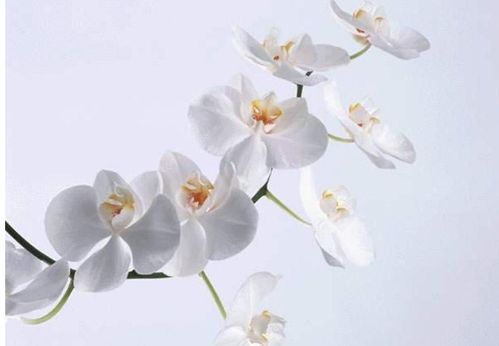 秋季食醋的7大妙用