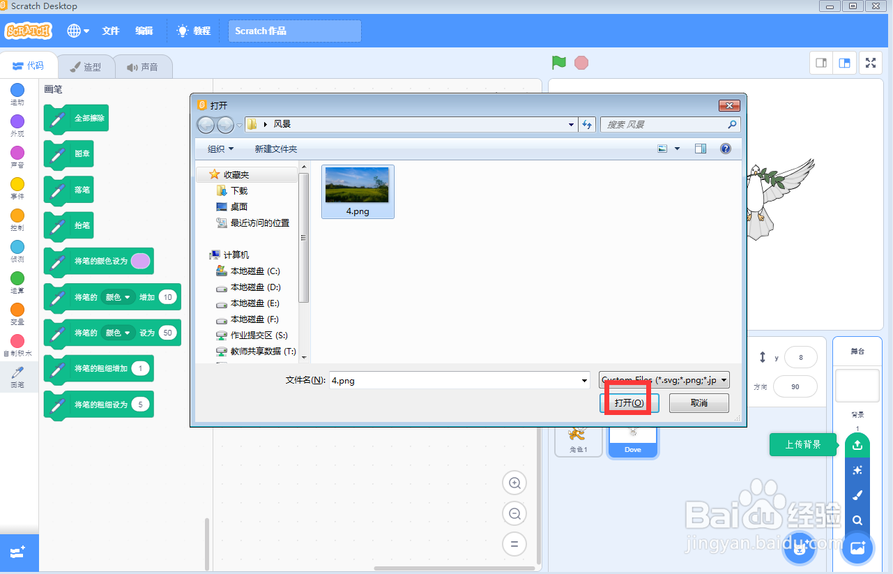 在scratch中创建草坪上的猫和鸽子背景