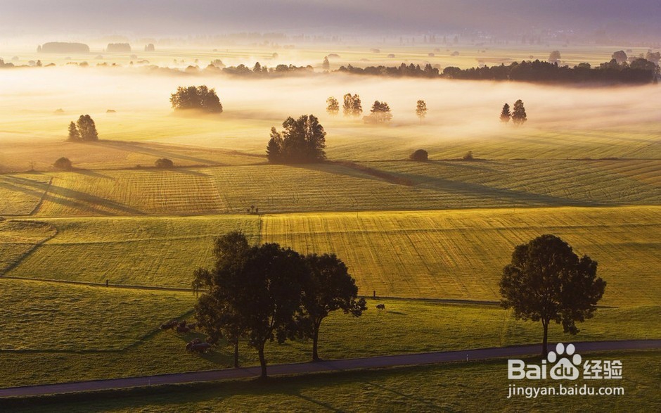 发现地球独特美镜头下的神奇大千