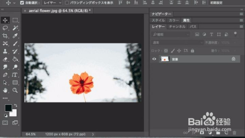 20招PS操作技巧, 提高你的工作效率