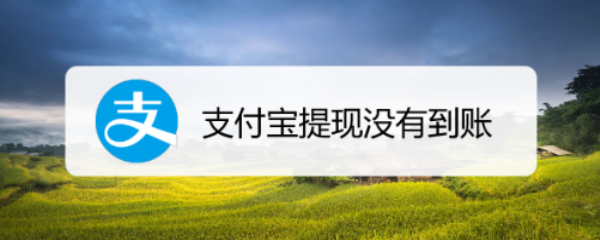 支付宝提现没有到账