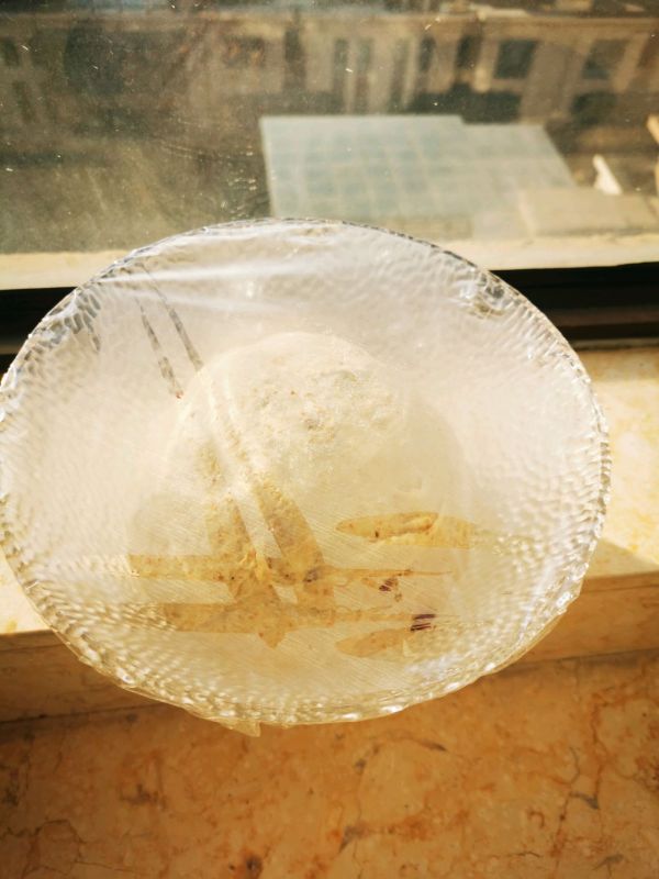 蔓越莓核桃红糖软欧