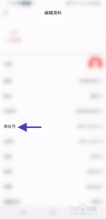TikTalk填写微信号