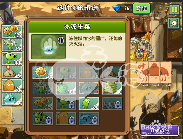 植物大战僵尸2攻略 神秘埃及 第四天三星