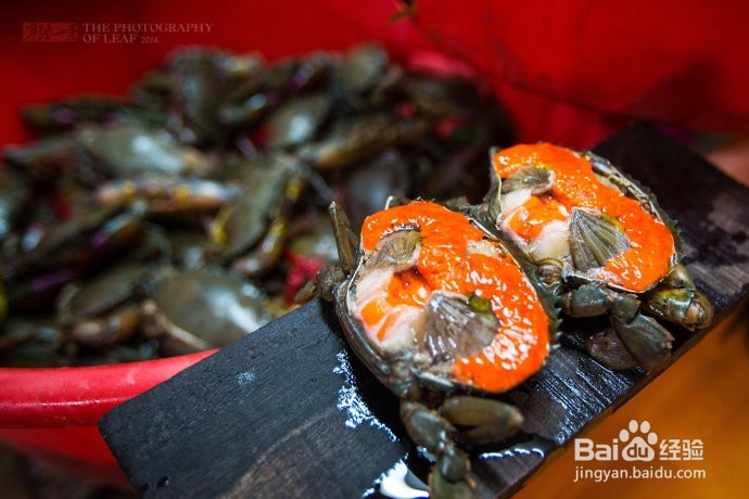 2016年度美食盛宴