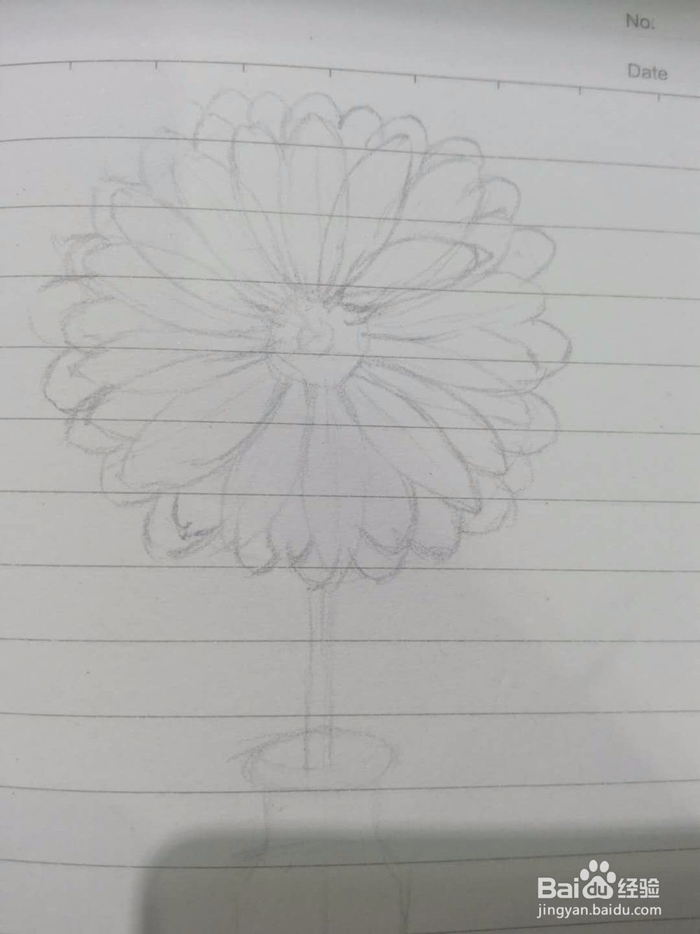 《菊花小景》手绘过程