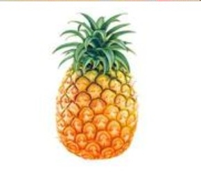 五步轻松去除家装异味