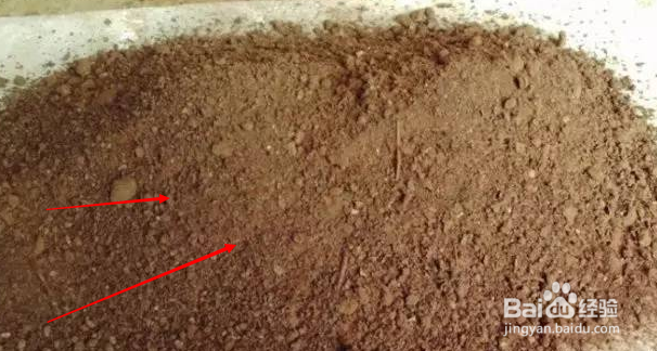 月季花土的配制方法