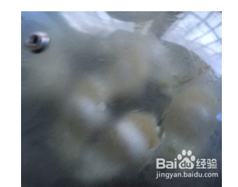 香煎鸡肉馄饨的做法步骤