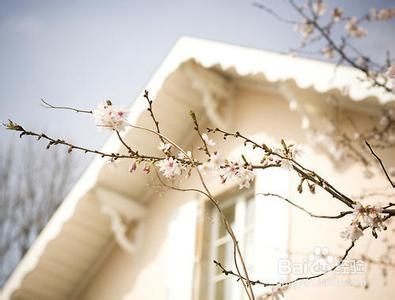 快点远离坏情绪