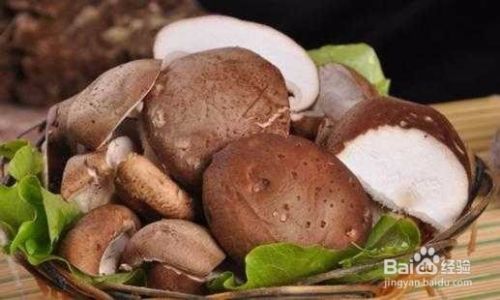 代料栽培香菇需要准备哪些原辅材料