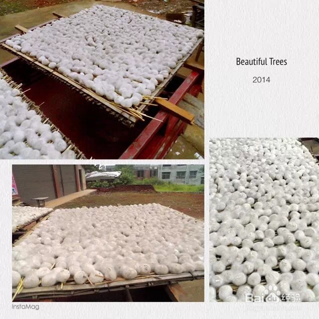 酒饼的制作方法