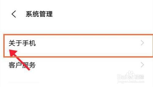 vivo手机是如何进入开发者模式的？