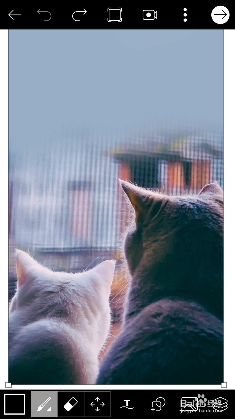 如何修图 ins简笔画教程