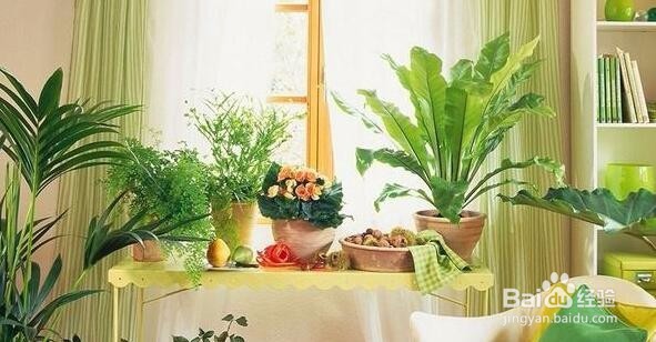 装修窍门需知（2）