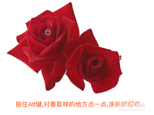 教你一招PS抠图小技巧