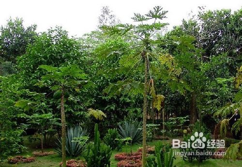 逍遥海南旅游景点介绍