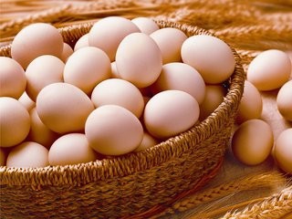 <b>不同蛋类的作用有什么</b>