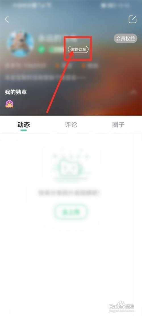 壁纸多多勋章如何才能佩戴