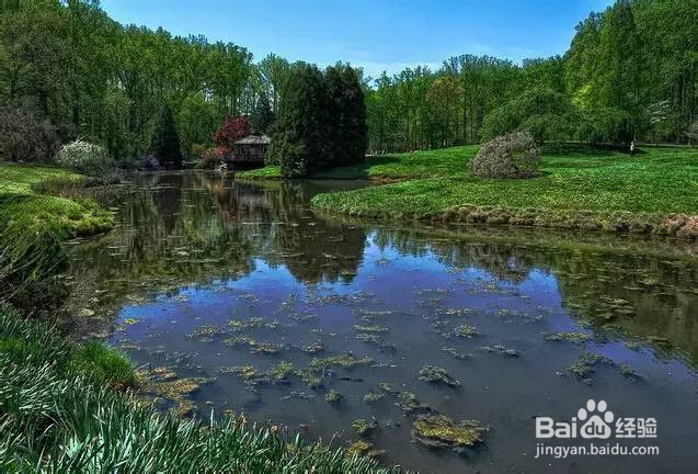 美国租车去哪玩?美国租车最强景点攻略!