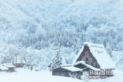 雪白的世界一日本白川乡合掌村