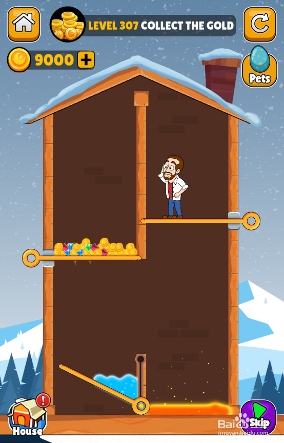 Home Pin的LEVEL 307如何通关？