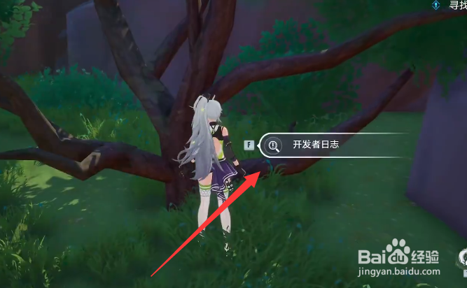 幻塔人工岛开发者日志2怎么获得