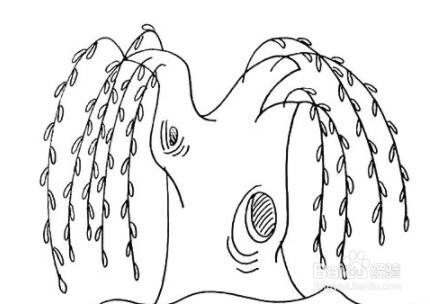柳树的简笔画