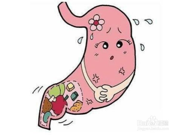 如何科学的养胃