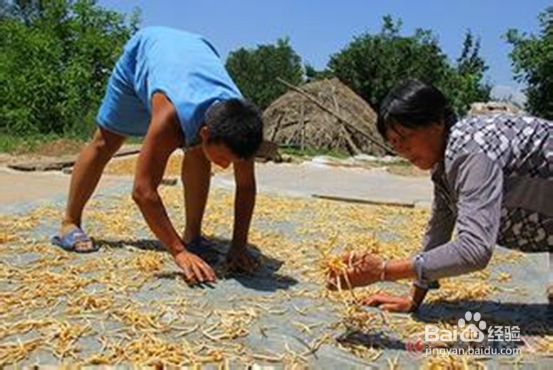 孩子大了怎么教育？