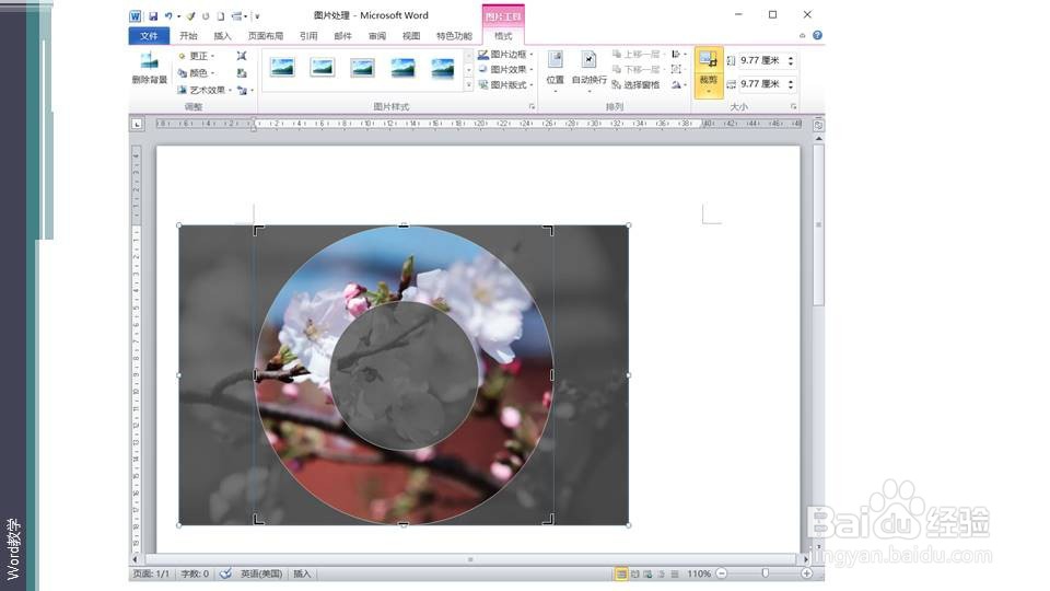在word如何快速将照片处理为唱片形？