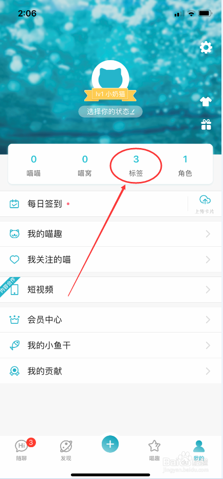 随猫树洞怎么清除缓存内容