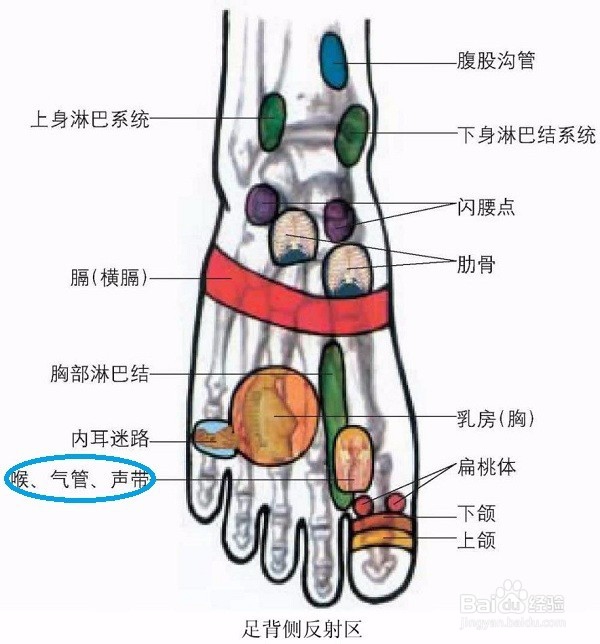 吐痰里有血丝怎么办