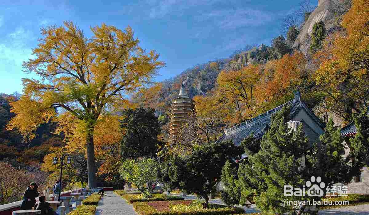 吕梁市周边好玩的人气旅游景点推荐