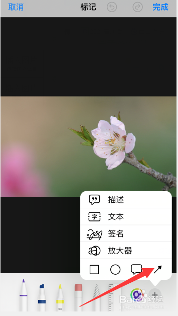苹果手机怎么给照片添加箭头符号