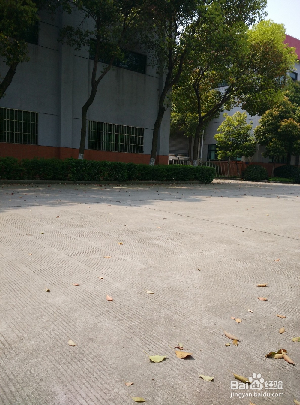 如何利用在公司里午餐后的时间