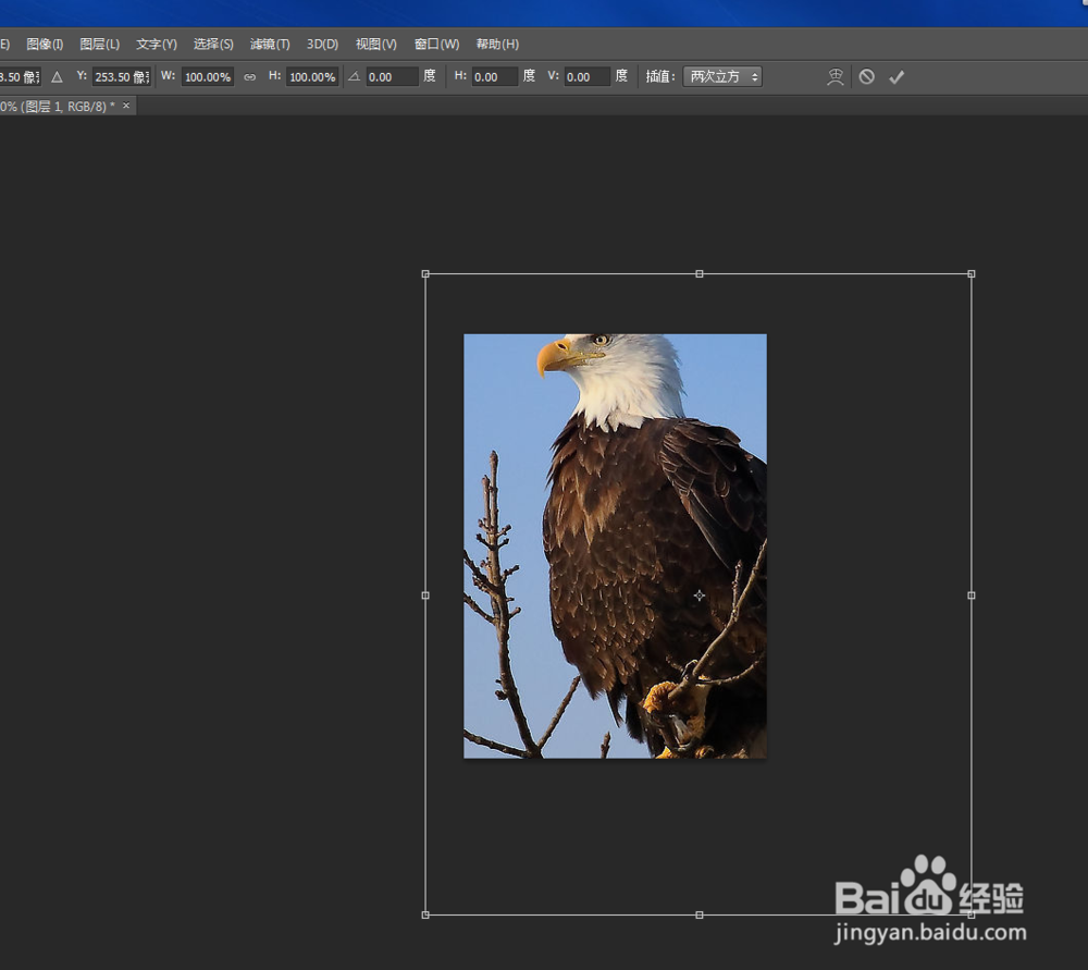 photoshop cs6制作打印1寸照片的最好最快方法