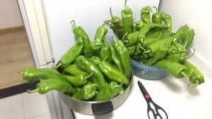 超级下饭的开胃小咸菜