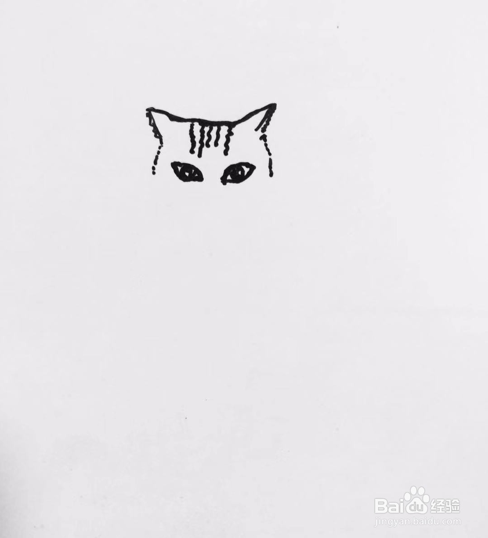 茉莉手绘之喵星人