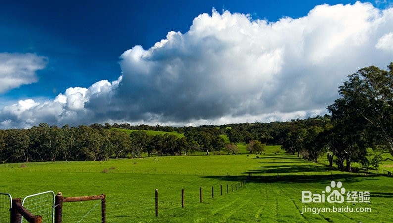 如何提高植物抗灰霉能力
